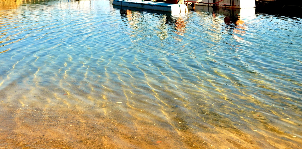 浅瀬のきらめき