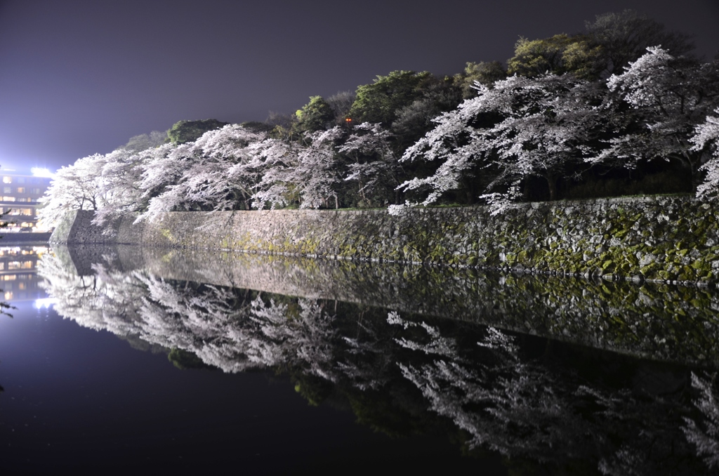 夜の華やぎ