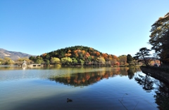 色づきの三島池に