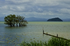 梅雨時の湖北風景