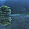 平池、毛嵐の朝