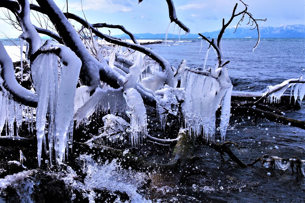 琵琶湖のしぶき氷2