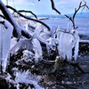 琵琶湖のしぶき氷2
