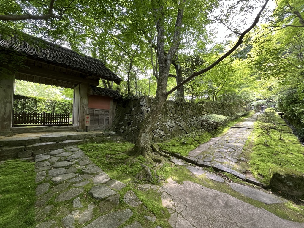 緑陰参道