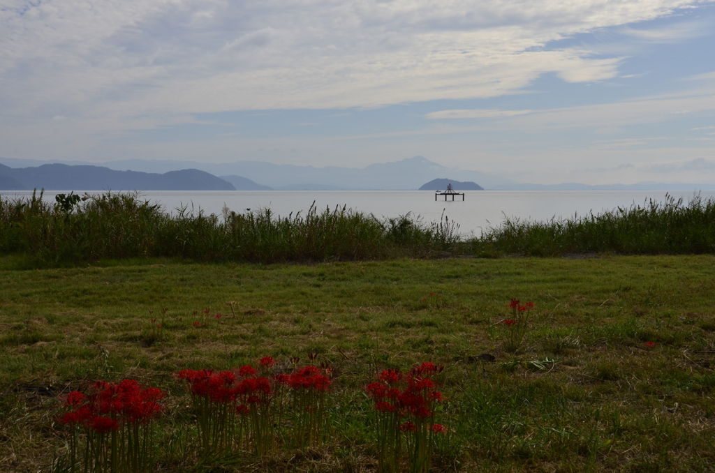 琵琶湖の風景　～季節は秋～