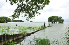 夏の釣り人