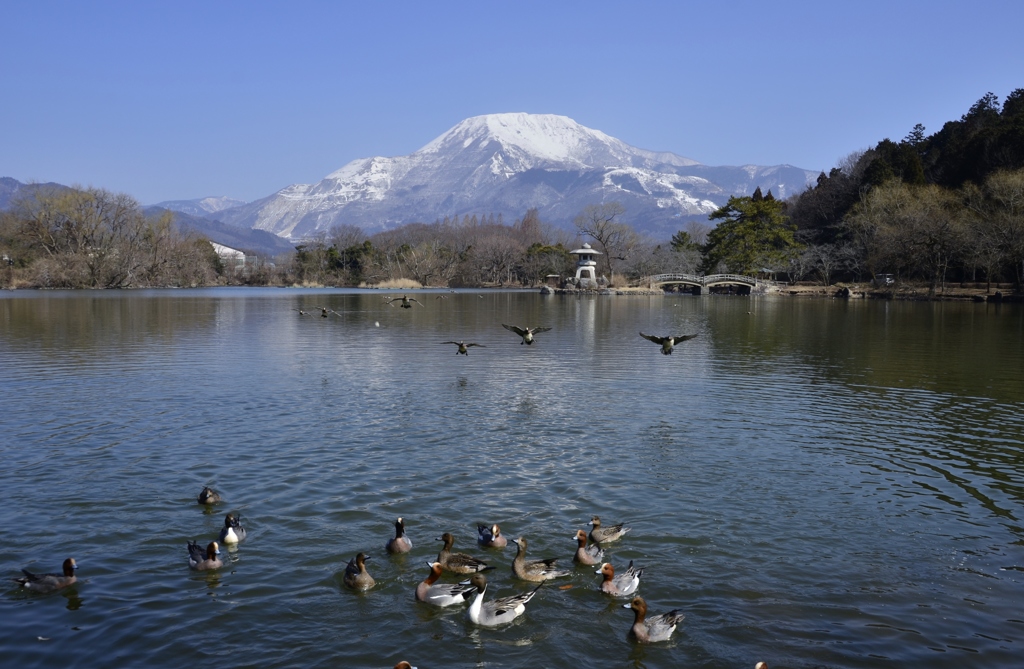 争奪戦の始まり