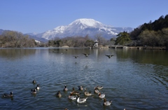 争奪戦の始まり