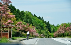 208.サイクリング日和