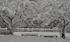 37.公園の雪