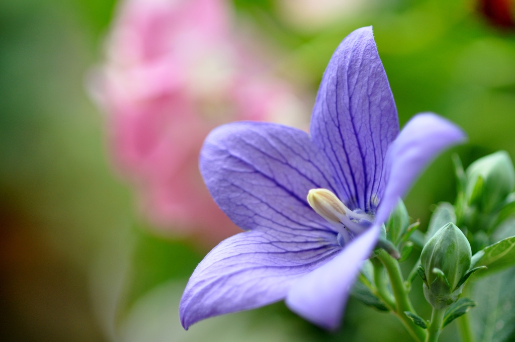 季節の移ろい　Ⅱ