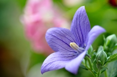 季節の移ろい　Ⅱ