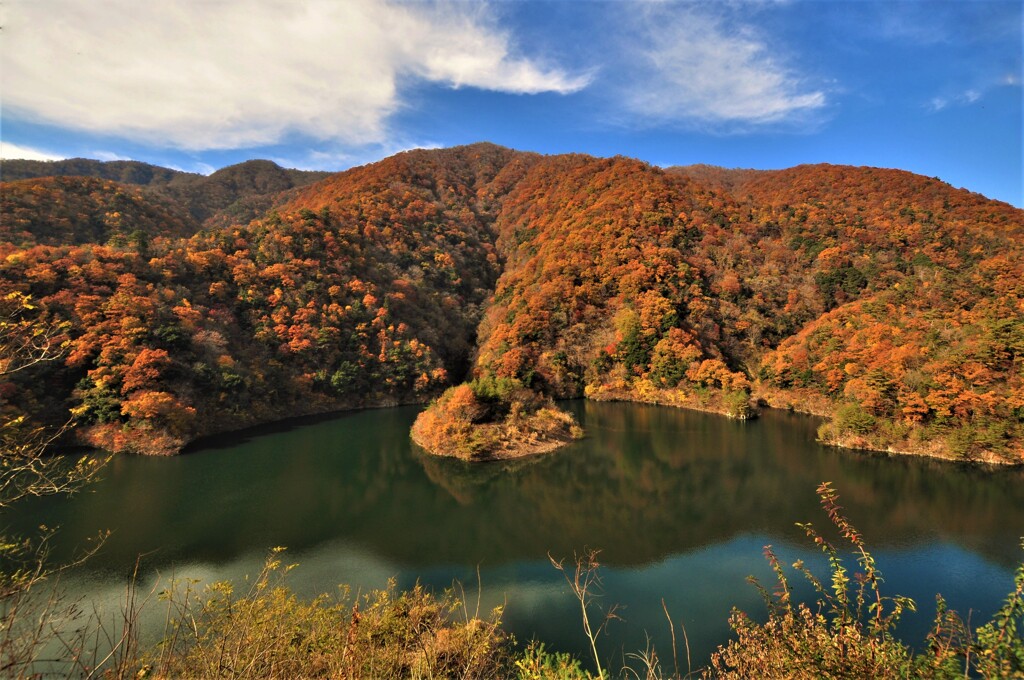 姉川ダムの紅葉