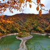 白龍湖　～姉川ダムもみじ島～