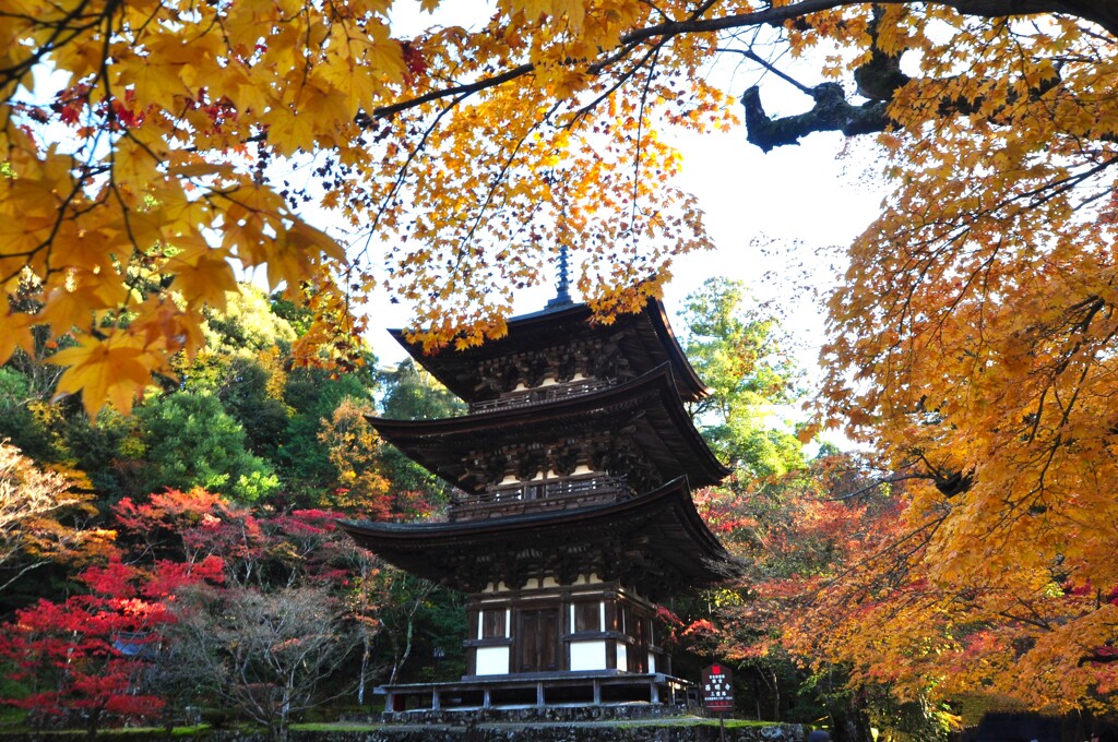 湖東三山西明寺