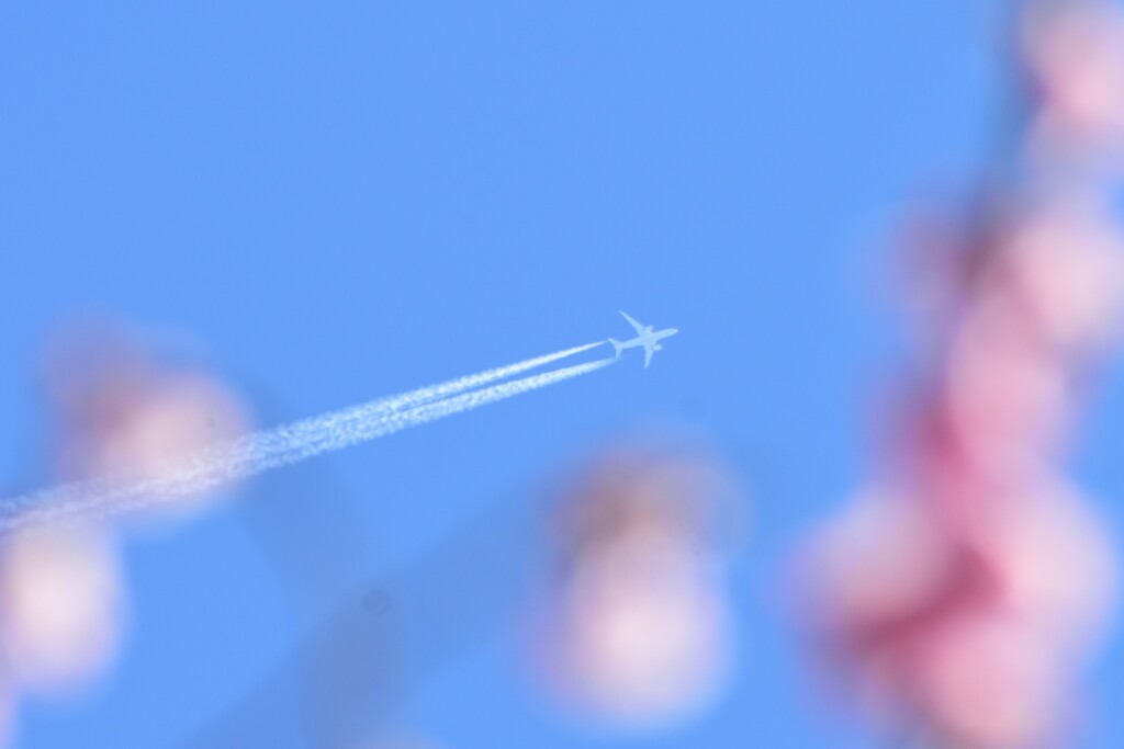 春の空