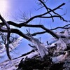 琵琶湖のしぶき氷1