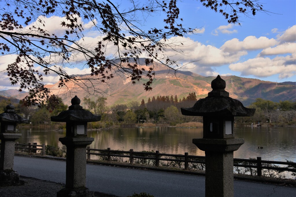 晩秋の三島池Ⅱ