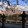 晩秋の三島池Ⅱ