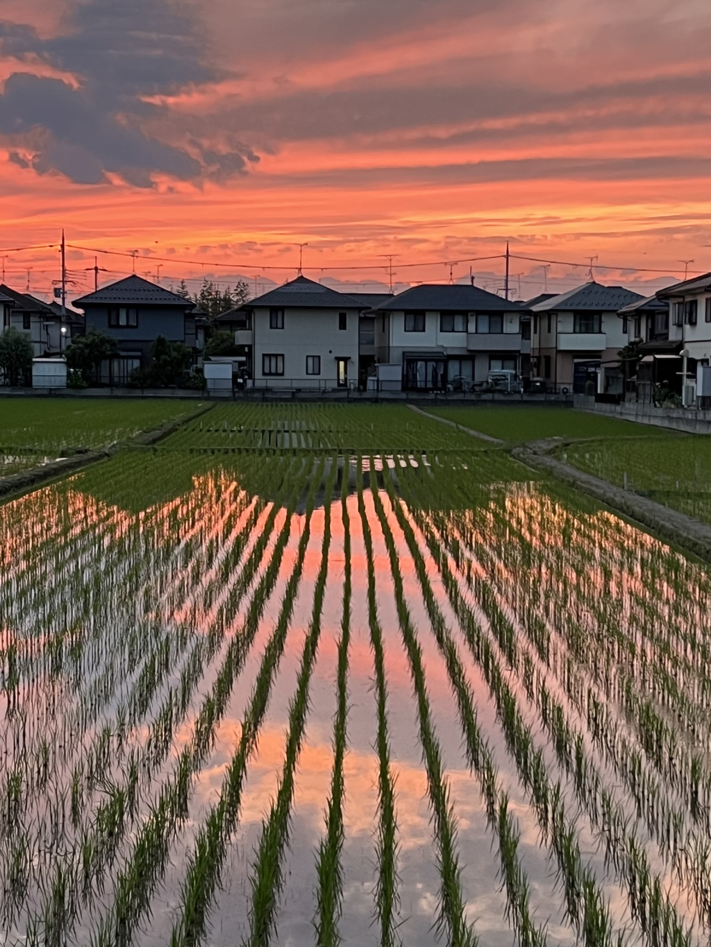 夕空も爆焼け