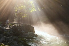 夏の記憶2025　～芹川朝の光芒～