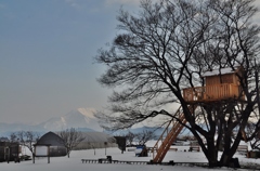雪の伊吹山とツリーハウス