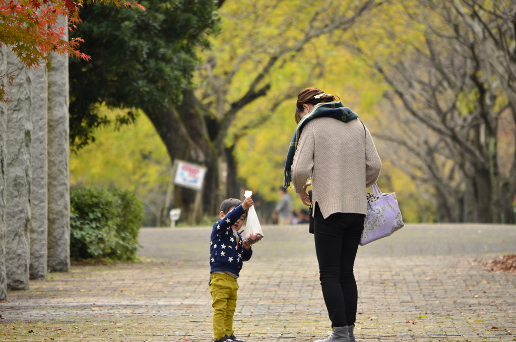 公園の秋～こんなにいっぱい拾ったよ～