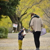 公園の秋～こんなにいっぱい拾ったよ～