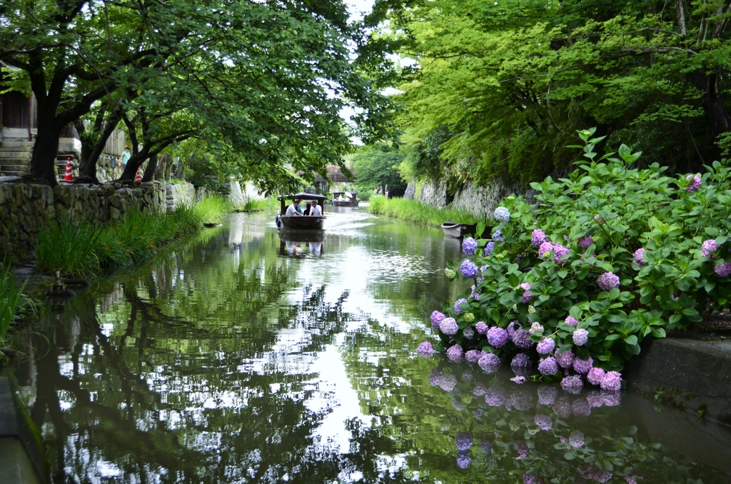 梅雨時八幡堀