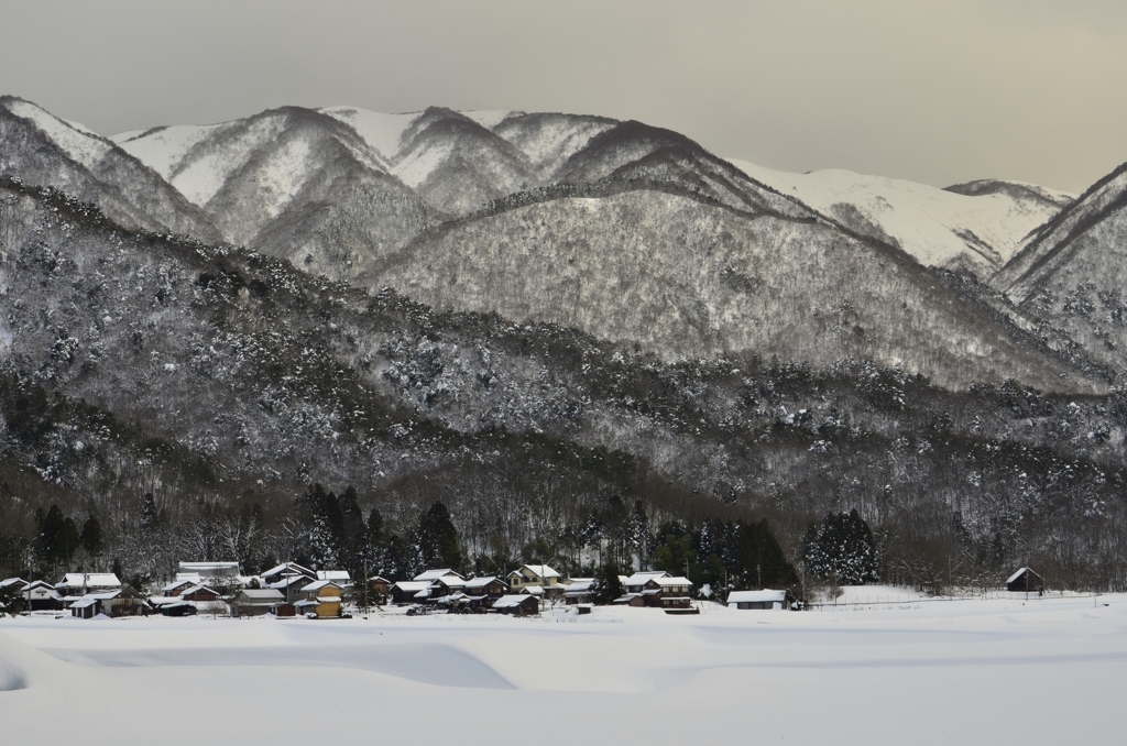 里山の冬