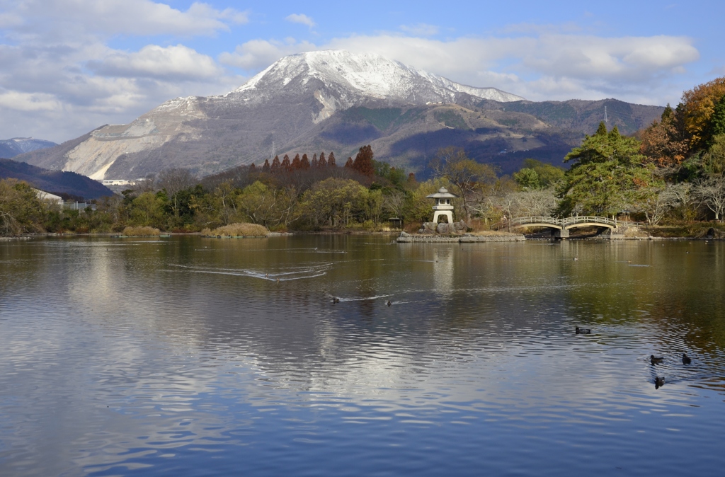 初冬の三島池 ～冠雪伊吹～