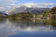 初冬の三島池 ～冠雪伊吹～