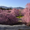 鈴鹿の森公園　～観せてくれますー！～