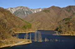 美しき沈黙