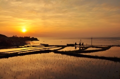 袖志棚田夕景