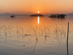 今日の湖北夕暮れ2