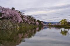 水と緑の街　彦根の春Ⅰ