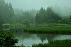 霧の平池1