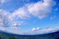 琵琶湖　冬の青い空