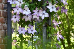 花園への誘い