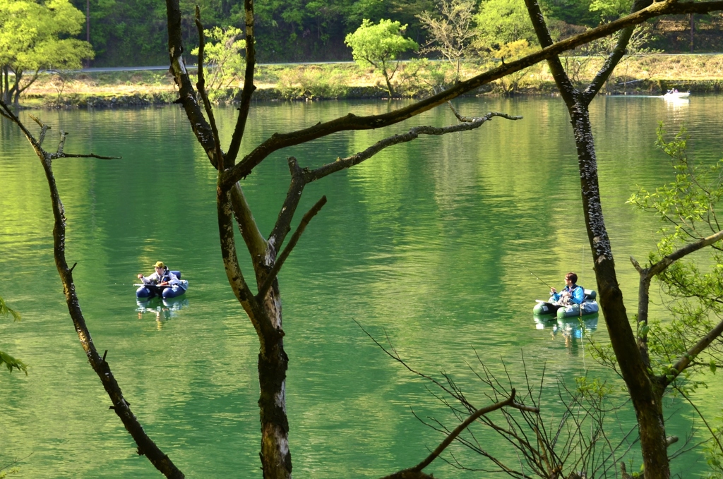 奥琵琶湖　春の風景Ⅰ