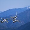 空を飛んで気持ちよくご出勤1