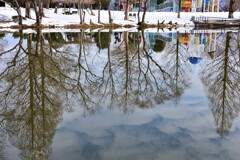 どっちがほんとう？1　～奥びわスポーツの森公園しずかの湖～