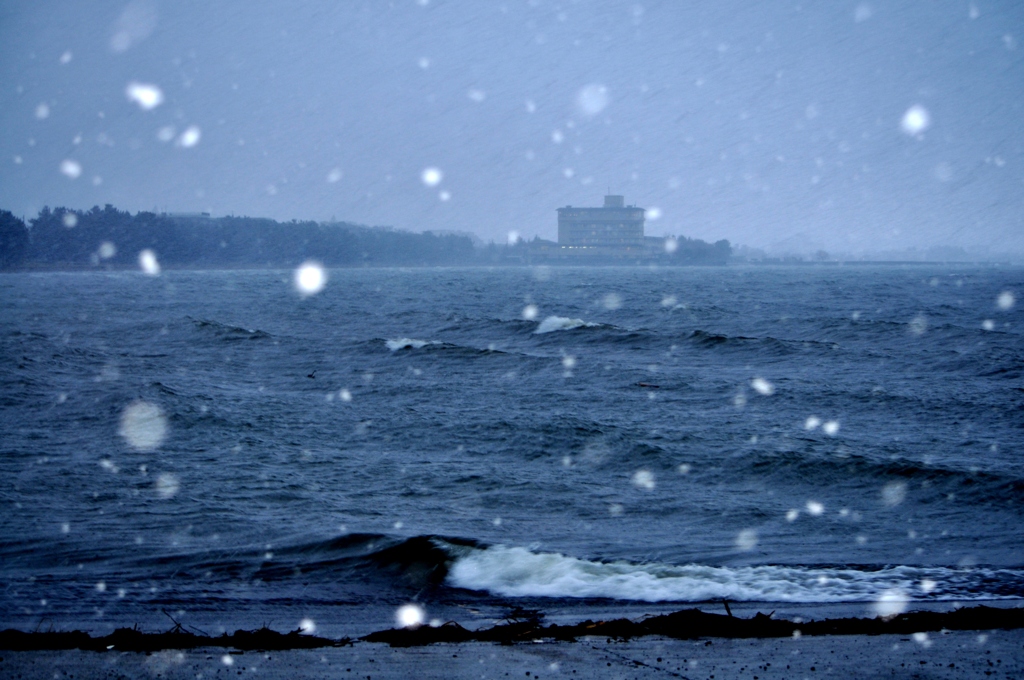 151.彼岸雪