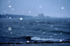 151.彼岸雪