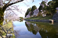 水と緑の街　彦根の春Ⅱ