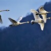 空を飛んで気持ちよくご出勤2