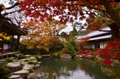秋の記憶2019　Ⅱ　～百済寺庭園～