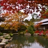 秋の記憶2019　Ⅱ　～百済寺庭園～