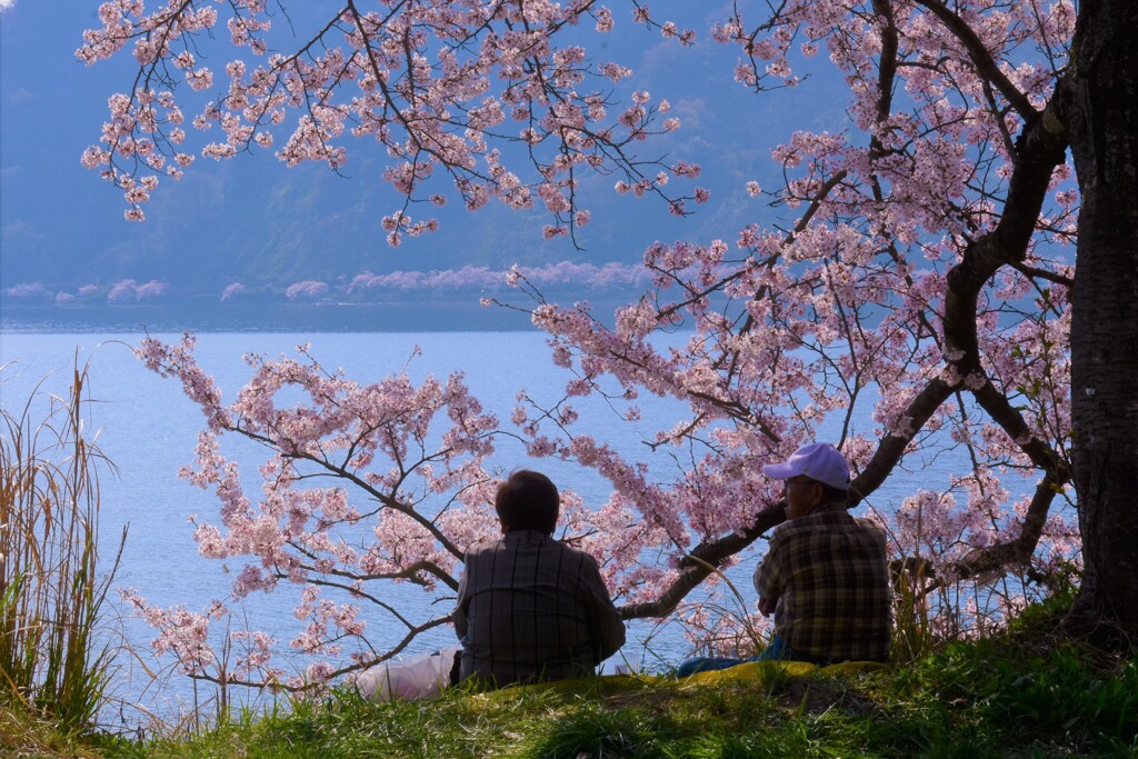 お花見日和の幸せ時間